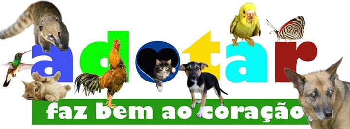 adotar