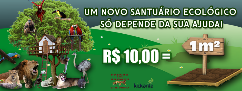 banner_campanha_1m2