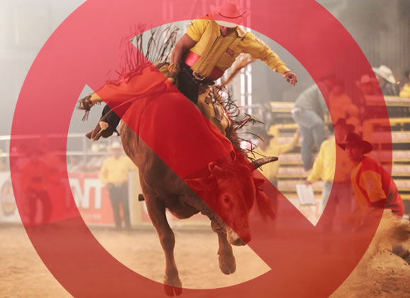 Petição pelo fim dos rodeios