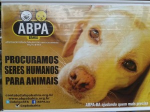 Feira de Adoção ABPA - Foto 4