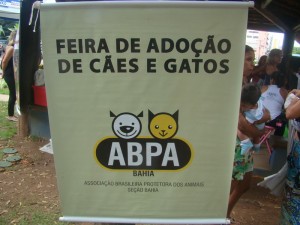 Feira de Adoção ABPA - Foto 9